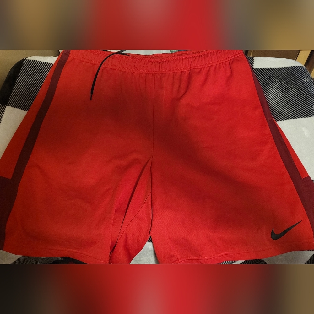 Nike Dri Fit Shorts